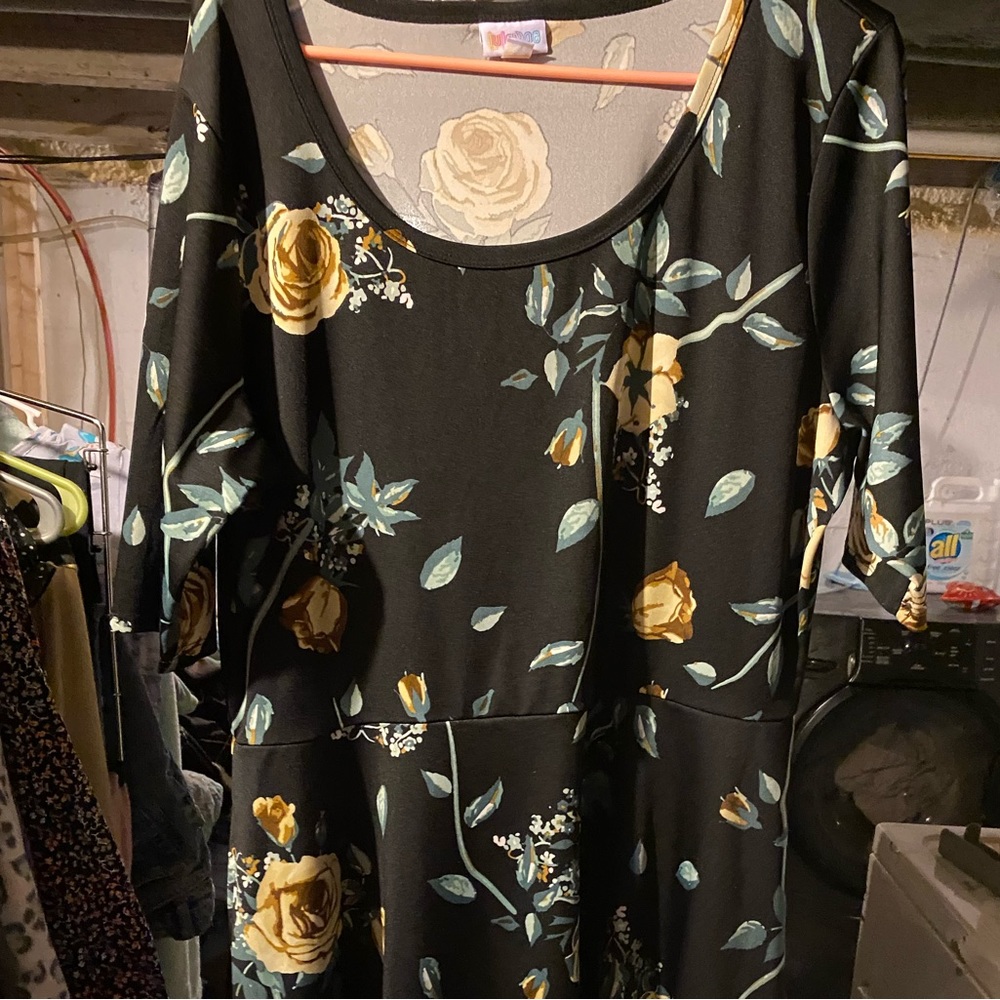 Lularoe Nicole 3x SALE [ LLR Dresses 3/$25]